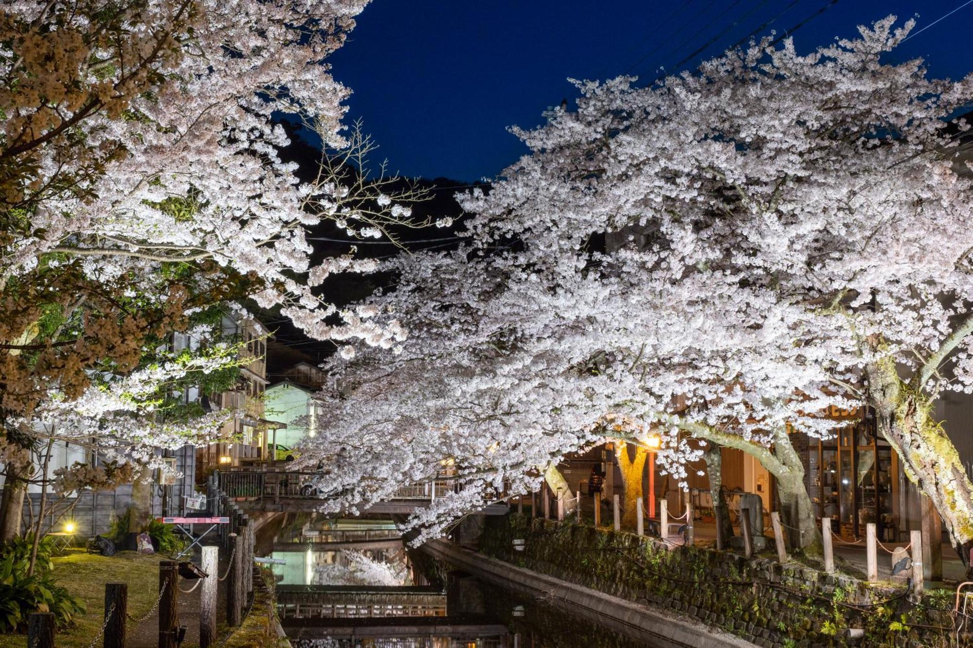 Mikuniya Hotel Toyooka  Eksteriør billede